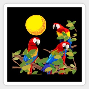 parrots Magnet